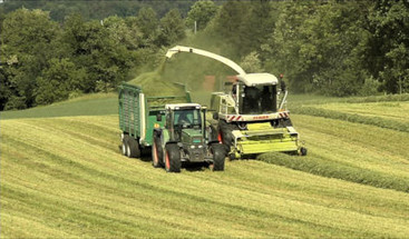 Futterbergung häckseln