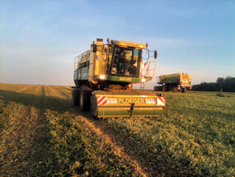 Gemüseernte - A. Brack Agrar-Service AG
Gemüseernte - A. Brack Agrar-Service AG
Gemüseernte - A. Brack Agrar-Service AG